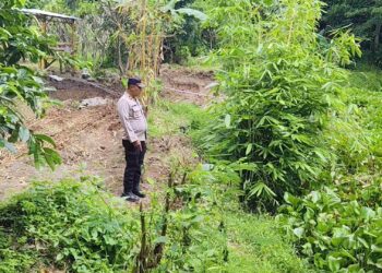 Polisi dan Warga Cari Anak Hilang di Desa Maesan, Penyisiran Dilakukan Hingga ke Pinggir Sungai Brantas