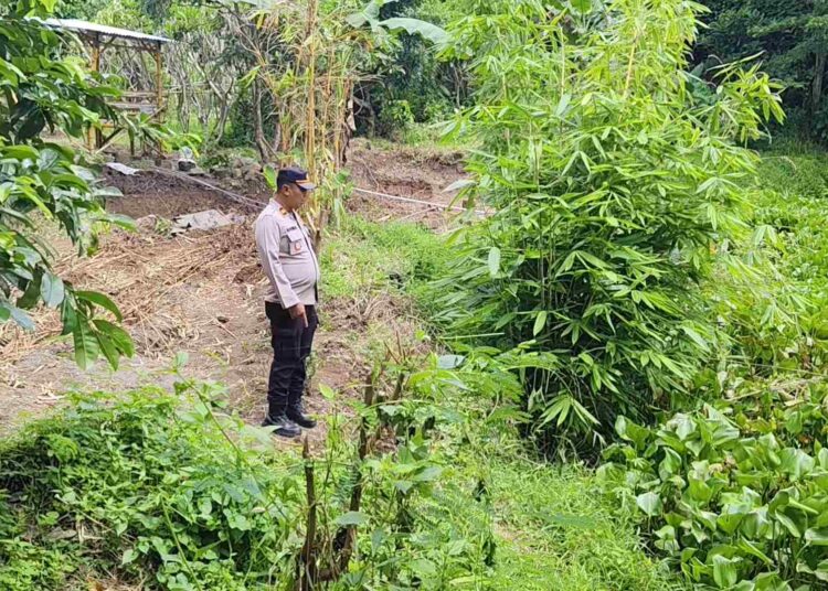 Polisi dan Warga Cari Anak Hilang di Desa Maesan, Penyisiran Dilakukan Hingga ke Pinggir Sungai Brantas