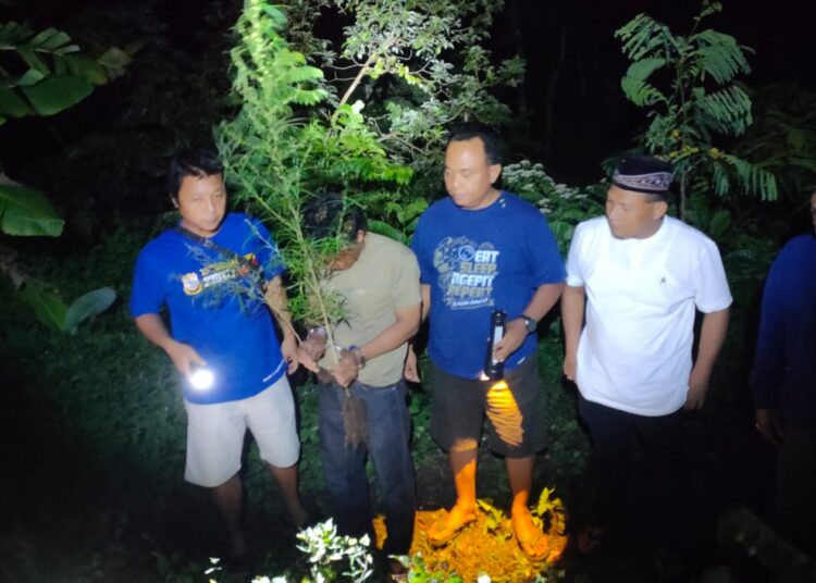 Tanam Ganja di Pot Rumah, Dua Warga Kediri Diringkus