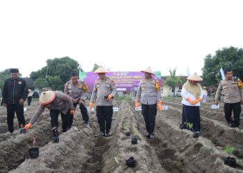 Dukung Asta Cita, Polres Kediri Tanam 3.000 Bibit Uwi Ungu di Lahan Mapolsek Wates