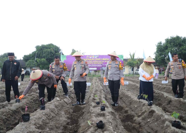 Dukung Asta Cita, Polres Kediri Tanam 3.000 Bibit Uwi Ungu di Lahan Mapolsek Wates