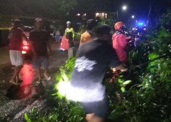 Hujan Deras Guyur Kediri, Pohon Tumbang Timpa Kios Mebel dan Kabel PLN