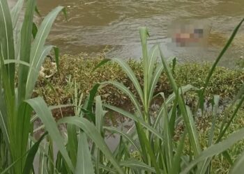 Jenazah Pria Tanpa Identitas Ditemukan Tersangkut di Tepi Sungai Brantas Ngadiluwih