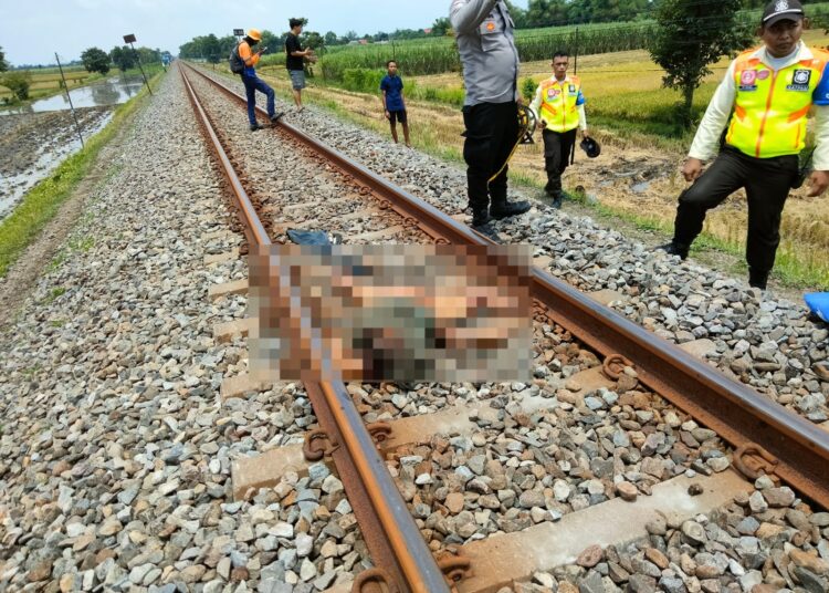 Pria Asal Kediri Tewas Tertabrak KA Singasari di Papar, Diduga Sengaja Melompat ke Rel