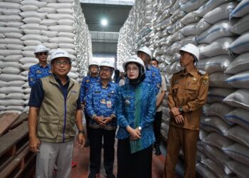 Stok Beras di Kediri Melimpah 78 Ribu Ton, Bulog Jamin Aman Hingga 25 Bulan ke Depan