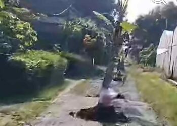 Dua Tahun Janji Palsu, Warga Desa Bakung Blitar Tanam Pohon Pisang di Tengah Jalan