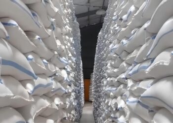 Antisipasi Dampak El Nino, BULOG Kediri Amankan Cadangan 82 Ribu Ton Beras