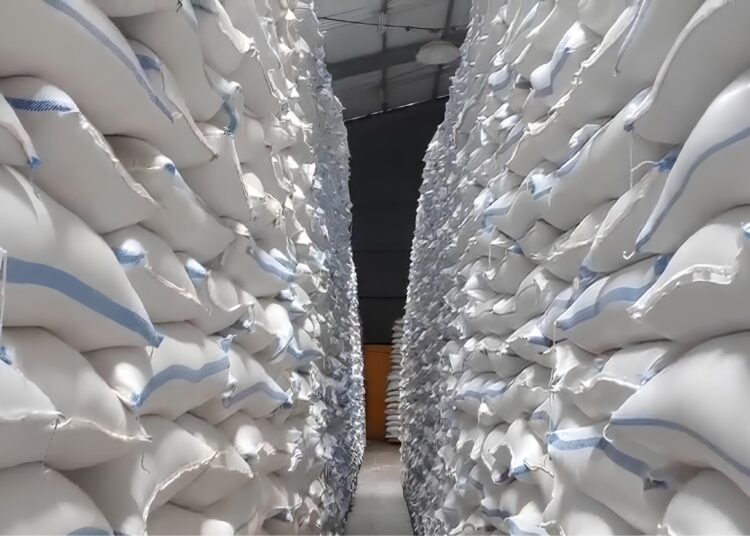 Antisipasi Dampak El Nino, BULOG Kediri Amankan Cadangan 82 Ribu Ton Beras