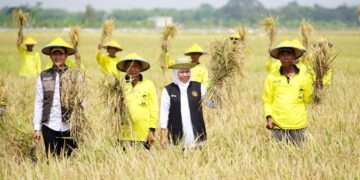 Jaga Ketahanan Pangan, Pemprov Jatim Siapkan Langkah Strategis Hadapi Dampak Kekeringan