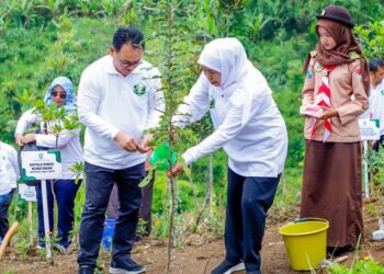 Transaksi Ekonomi KTH Jatim TW I 2026 Capai Rp367,95 Miliar, Berkontribusi 59,38 Secara Nasional.