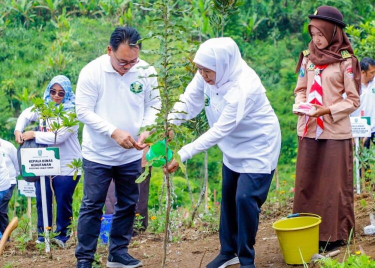 Transaksi Ekonomi KTH Jatim TW I 2026 Capai Rp367,95 Miliar, Berkontribusi 59,38 Secara Nasional.