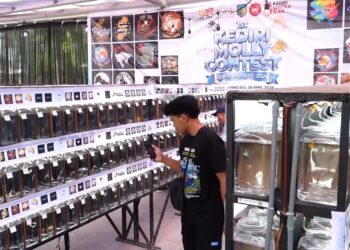 Tingkatkan Geliat Ekonomi Ikan Hias, Pemkab Kediri Gelar Kediri Aquatic 2026