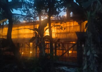 Diduga Korsleting Listrik, Kandang Ayam di Semen Kediri Ludes Terbakar