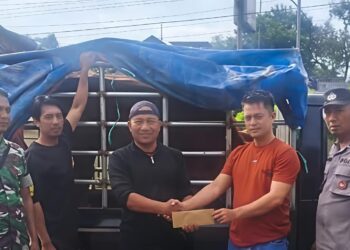 Maling sapi di Ngancar, Pelaku Kabur Usai Mobil Tabrak Pagar