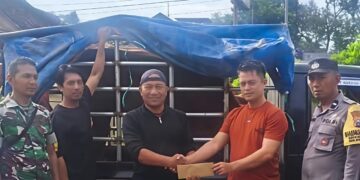 Maling sapi di Ngancar, Pelaku Kabur Usai Mobil Tabrak Pagar