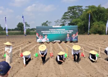 Jatim Jadi Tumpuan 85 Persen Produksi Nasional, Kediri Pegang Target Tertinggi