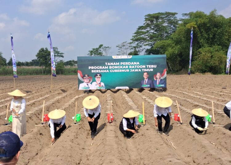 Jatim Jadi Tumpuan 85 Persen Produksi Nasional, Kediri Pegang Target Tertinggi