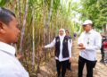 Khofifah Pimpin Tanam Perdana Program Bongkar Ratoon Tebu Serentak di 11 Kabupaten se-Jatim