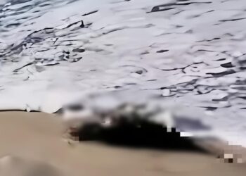 Geger! Jasad Wanita Tanpa Kepala Ditemukan Terdampar di Pantai Cemoro Sewu Tulungagung