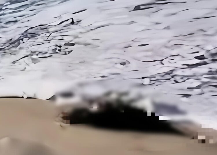 Geger! Jasad Wanita Tanpa Kepala Ditemukan Terdampar di Pantai Cemoro Sewu Tulungagung