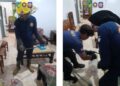 Warga Panik Ular Kobra Sembunyi di Balik Tumpukan Kardus