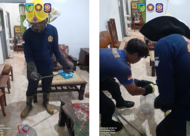 Warga Panik Ular Kobra Sembunyi di Balik Tumpukan Kardus