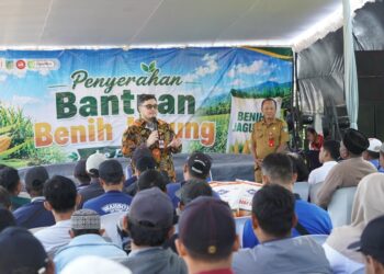 Mas Dhito Bantu Petani 200 Ton Benih Jagung Hingga Kepastian Harga Pasca Panen