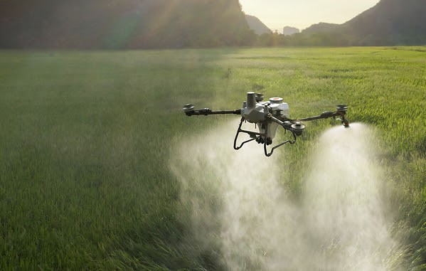 DJI Agriculture Luncurkan Dua Drone Pertanian Terbaru, Sasar Efisiensi Lahan Skala Besar
