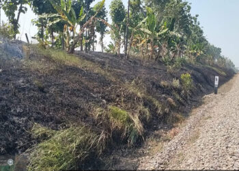 KAI Daop 7 Madiun Larang Keras Bakar Jerami Dekat Rel, Pelanggar Terancam Sanksi Hukum