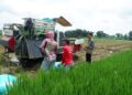 BULOG Kediri Amankan Stok Pangan, Serapan Beras Petani Tembus 100 Persen Lebih Cepat dari Target