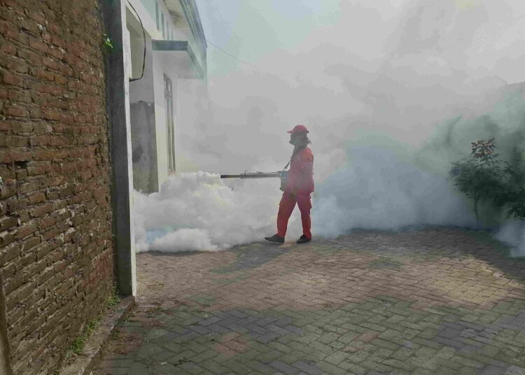 Kasus DBD di Kota Kediri Alami Penurunan Signifikan, Dinkes Gencarkan Fogging dan PSN