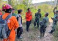 Luncurkan Drone hingga Personel Gabungan, BPBD Kediri Sisir Sisa Api Karhutla Gunung Wilis