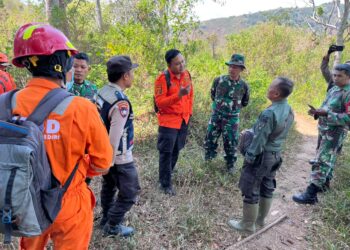 Luncurkan Drone hingga Personel Gabungan, BPBD Kediri Sisir Sisa Api Karhutla Gunung Wilis
