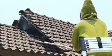 Ancam Keselamatan Warga, Sarang Tawon Vespa di Atap Rumah Mudjilah Dievakuasi Damkar Kediri