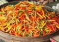 Stok Menipis Akibat Kemarau, Harga Cabai Rawit di Kota Kediri Melambung